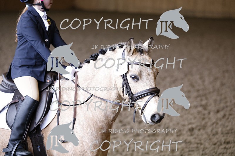 _R6A1395 - Class 1 walk trot 2022