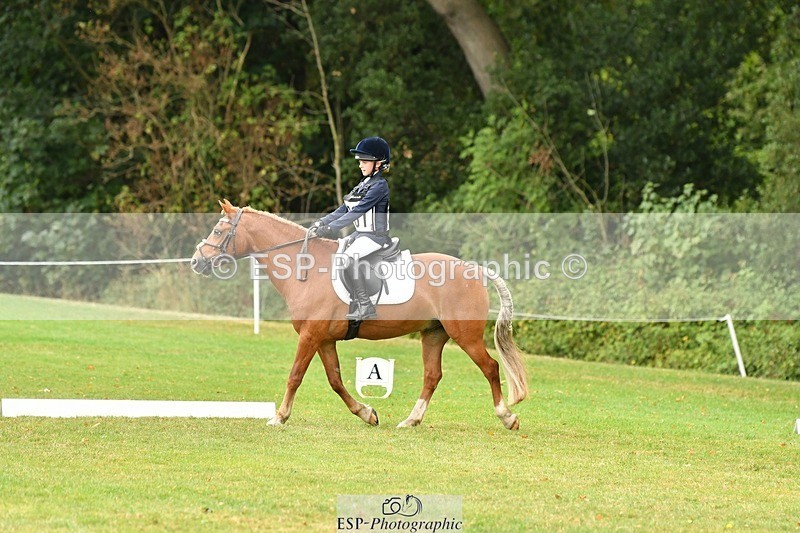 250820A-124347-05653 - 12 to 13.00