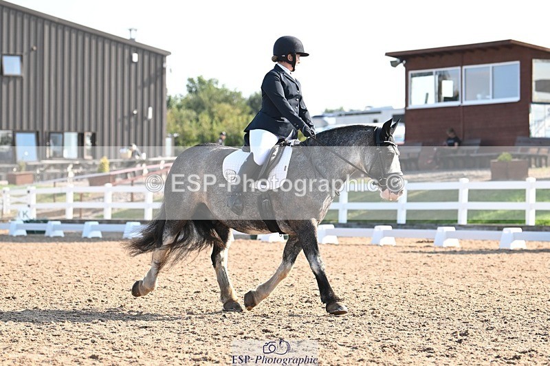 250816-090659-02833 - 055-Neve.HollowaySD.Out.of.the.Blue