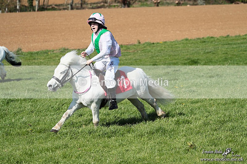 Shet 060426 175 - Shetland Pony Racing Paxford Races Easter Mon 06/04/26