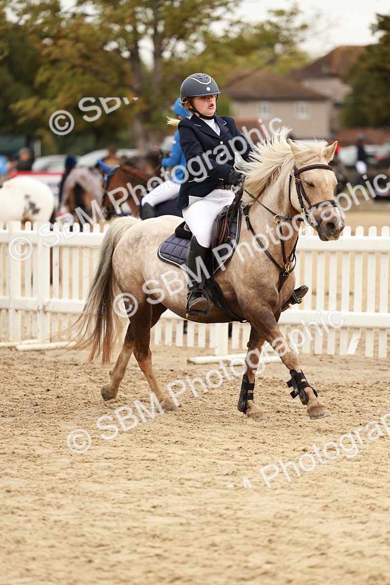 SBM_58014 - J11 - Junior Pony 50cm Championship