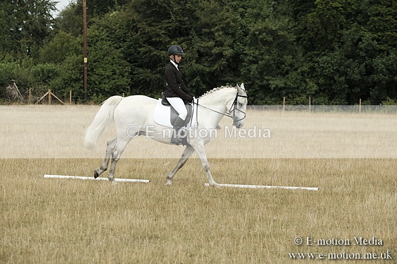 _PJP5770 - Dressage Classes BVRC Show 2018