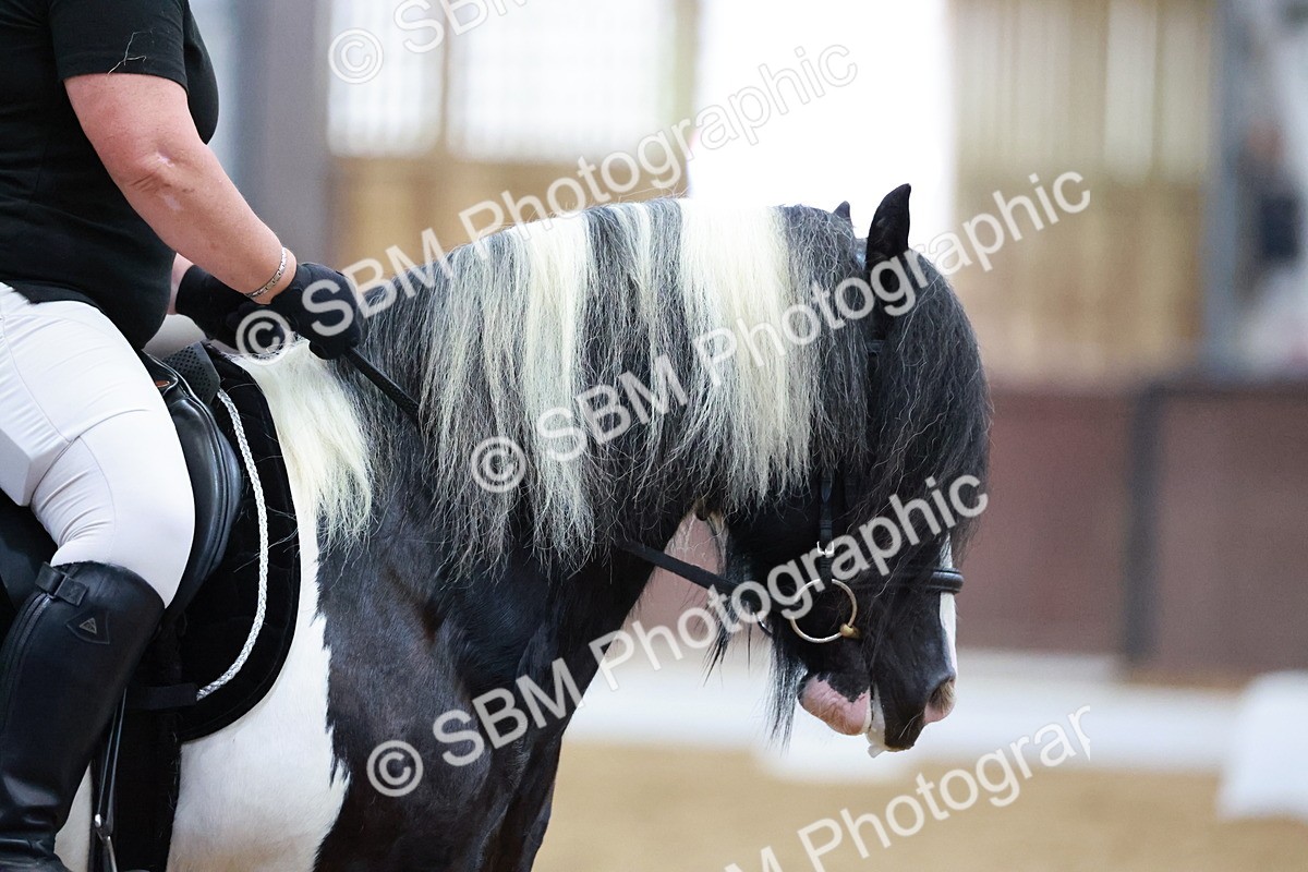 SBM_024969 - Class 8-9 - MQ Open Prelim 2 - Novice 1