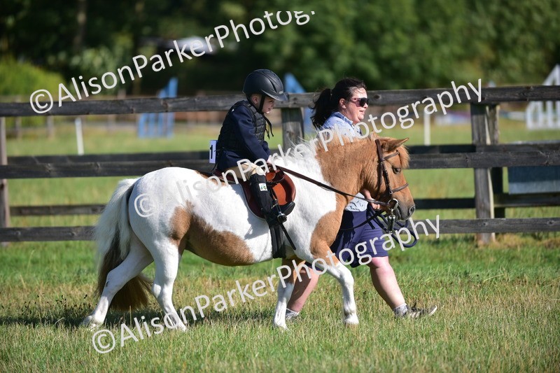20260906-0524 - Class 6 - Minimus Jumping