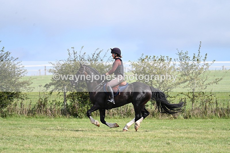 WJ7_6197 - Time 11:29 to 11:45