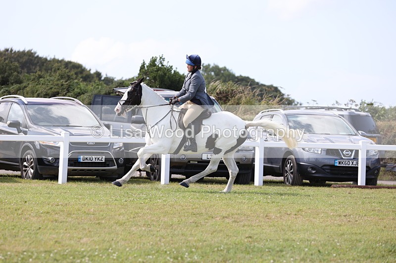 JPP_2337 - Class 19: Working Hunter 60cm