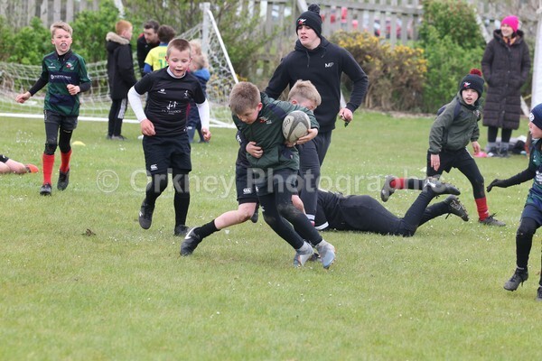 DAD22531 - Rookies/Mini Rugby on 7s Day