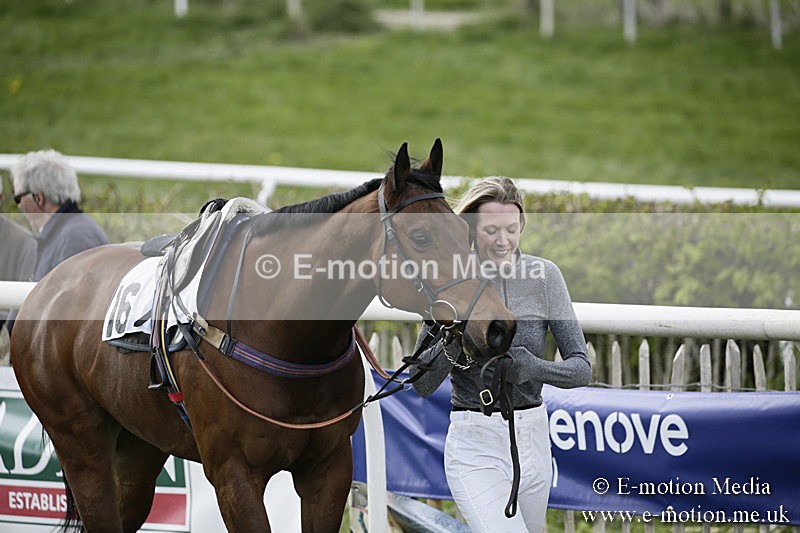 PtP 170417 397 - Old Berks Point-to-Point Lockinge 17/04/17