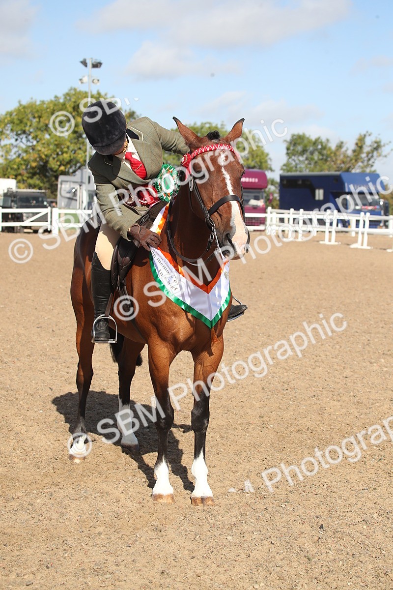 SBM_22726 - Class 601 - 2026 - Area - Ridden Diamond