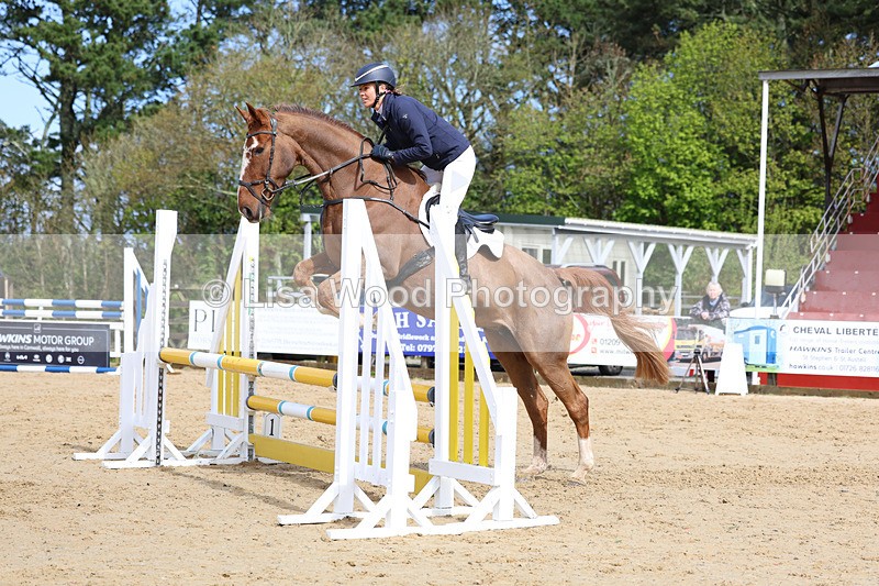 3E7A0828 - Class 4: Senior British Novice/90cm open