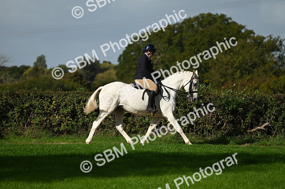 SBM_01347 - S2 - TSR Ridden Horse Showing