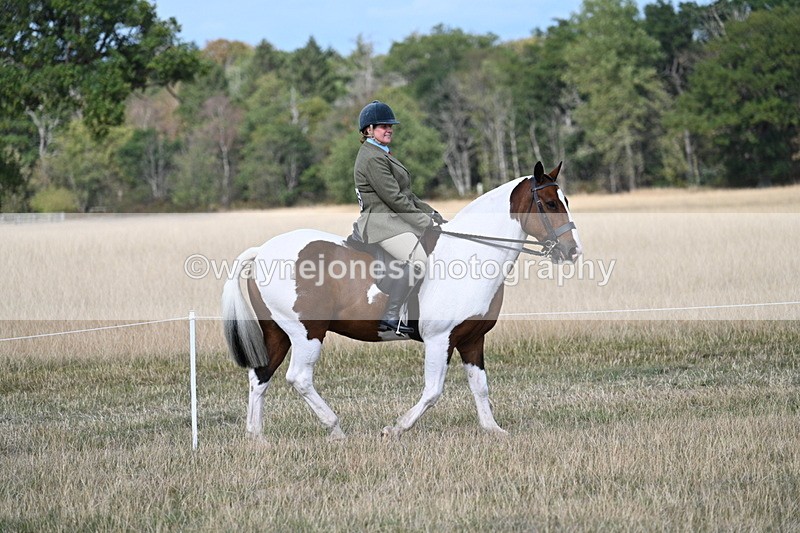 WJ7_6672 - Class 14 Ridden Coloured
