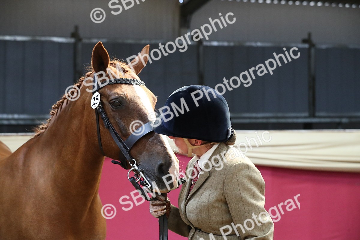 SBM_04438 - Class 7R Regional - IH Diamond