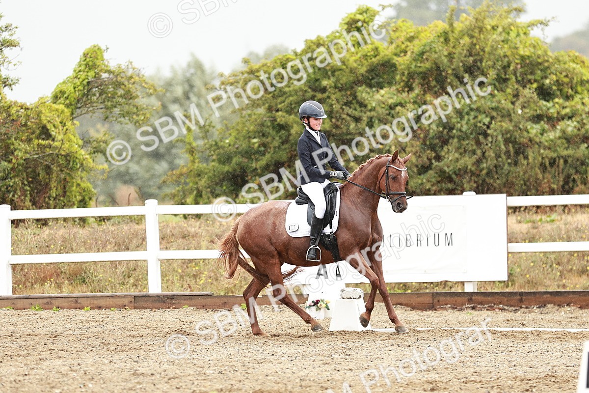 SBM_003963