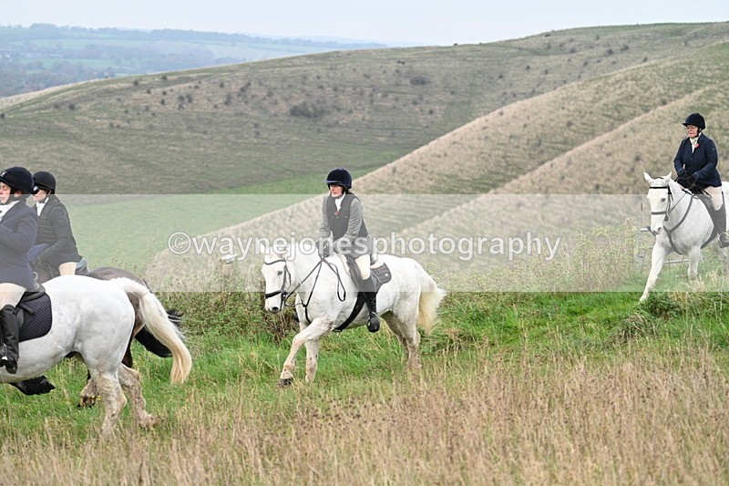 WJ7_0063 - Camera 1 & Last fence