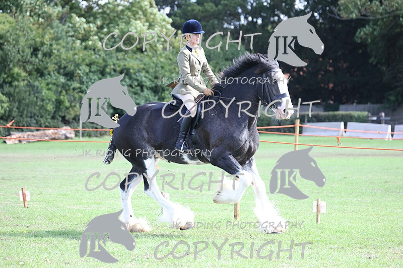 APP_3767 - Class 8 Ridden Class