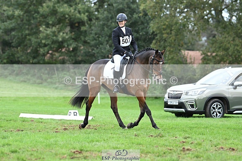 231020-153956-11237 - 507-EDGEDALE.BLUE.LADY-Katie.Lavin-DR