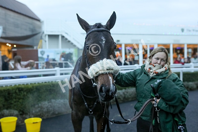 010124-Race 6-Abbeyhill-4579 - Race 6