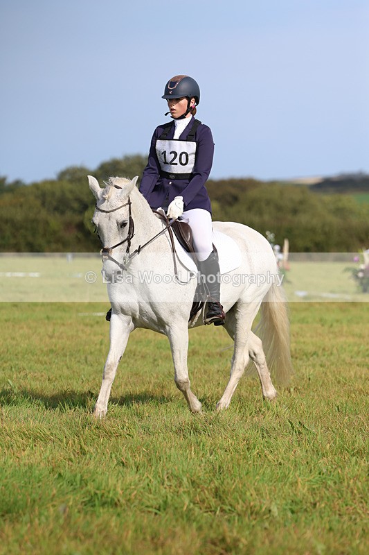 3E7A6231 - Class 1: Trebudannon Open: Dressage (Part 2)
