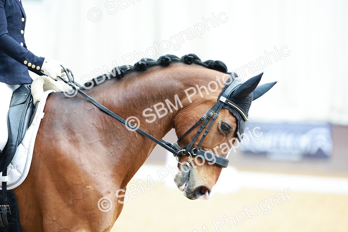 0B8A4924 - Class 11 - M5