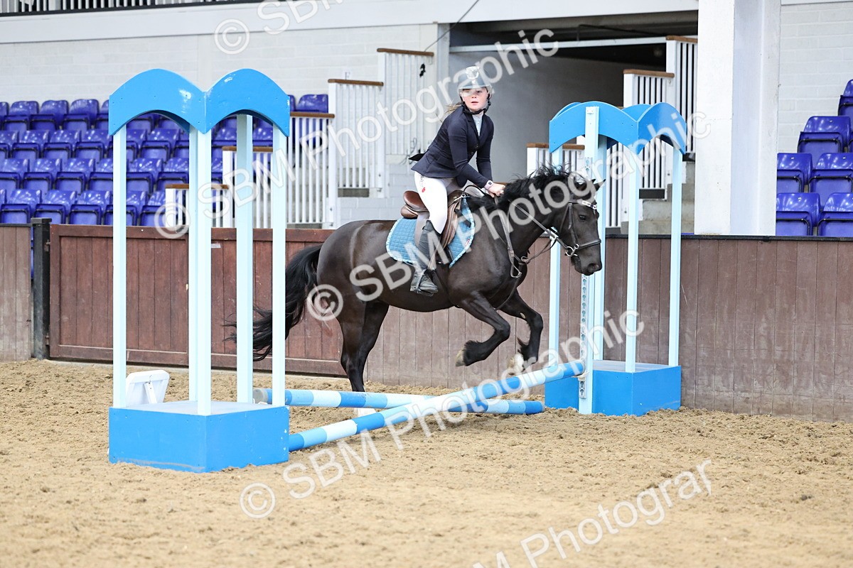 SBM_006948 - Class 1 - 40cm showjumping