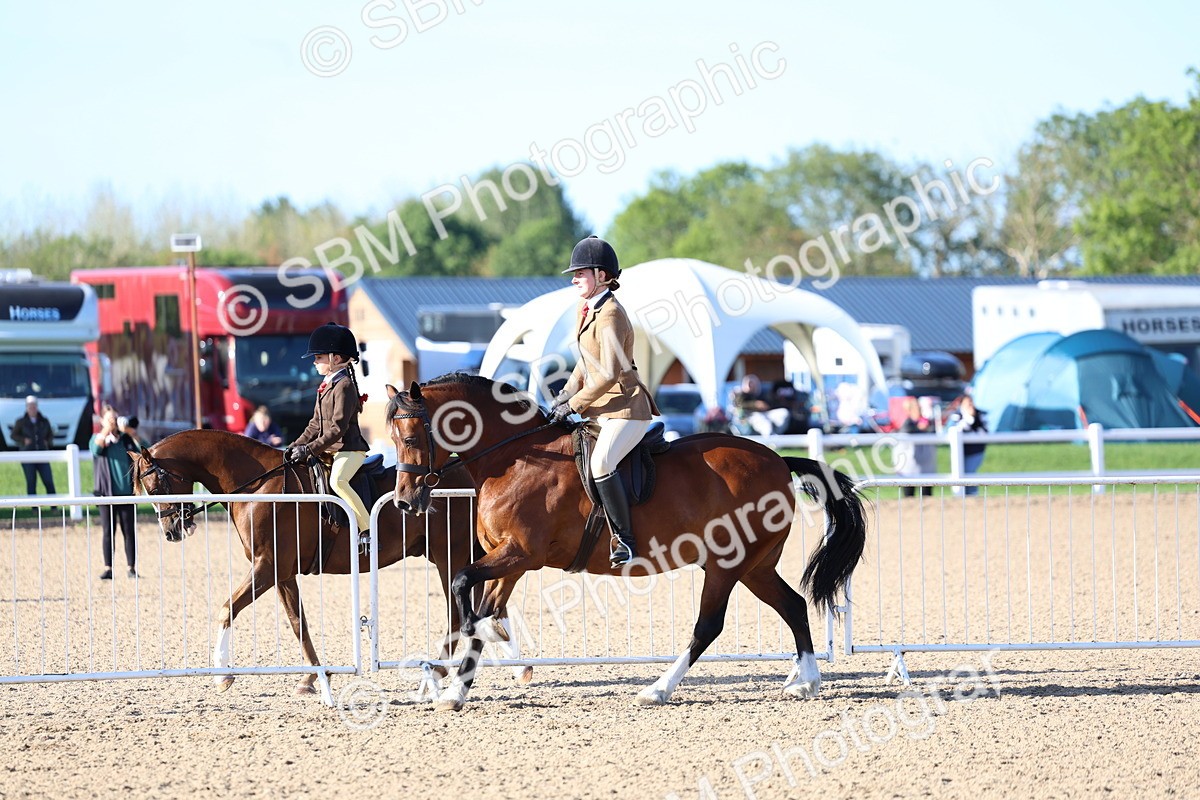 SBM_08807 - Class 302 - Ridden M&M - Large Breeds