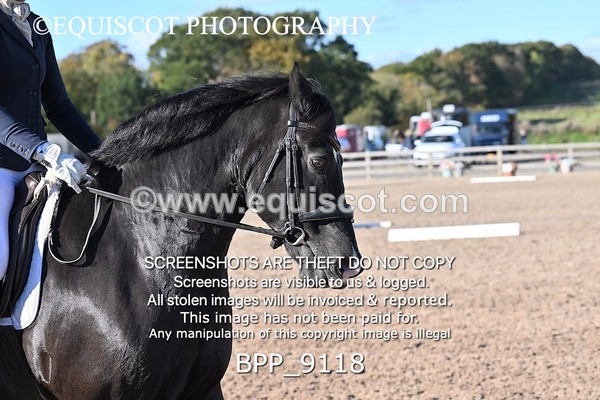 BPP_9118 - LONG ARENA