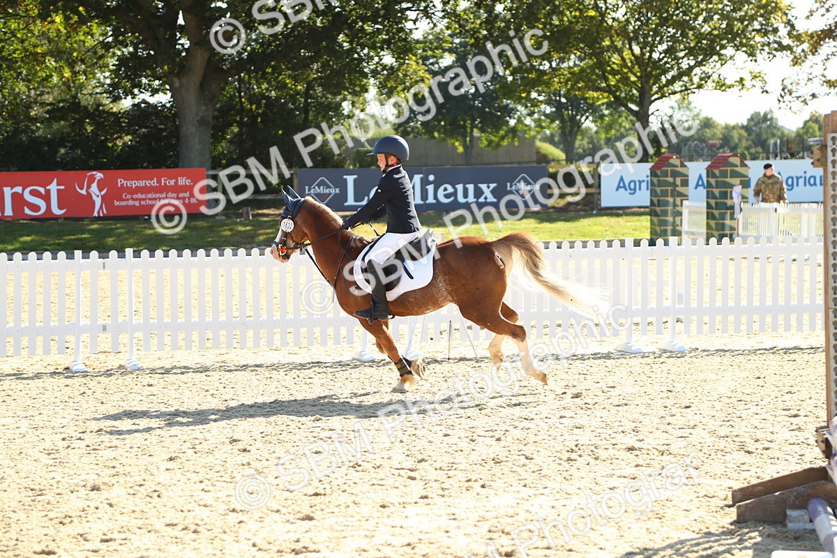 SBM_36070 - J5 - Junior Pony 50cm Championship