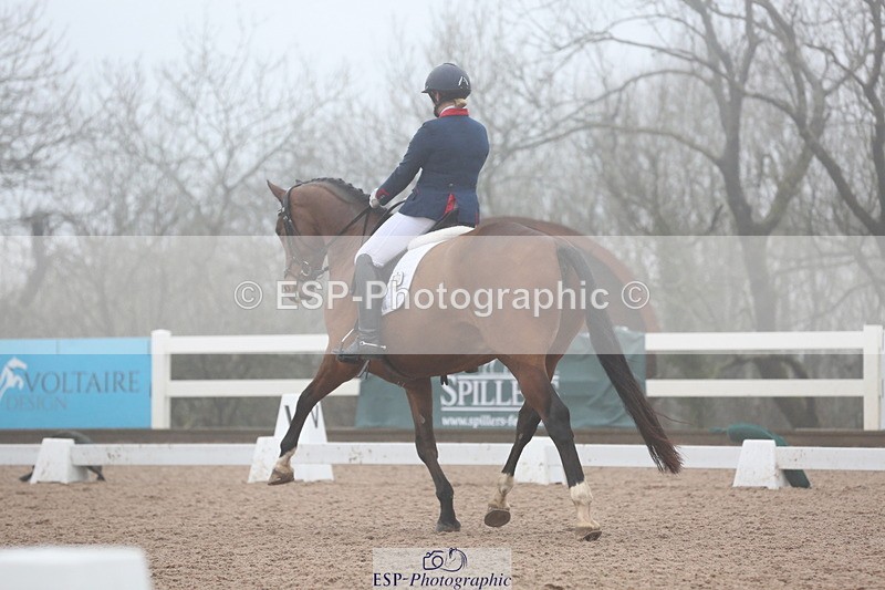 240217A-150117-04172 - 209-Charlotte.Dicker-Catherston.Tarantella