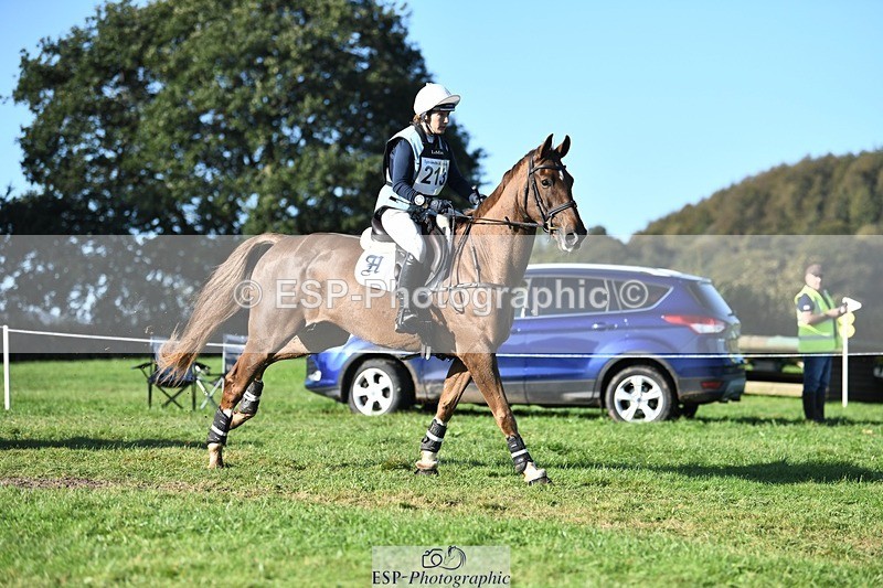 231022-103217-25647 - 213-MGH.HILDARE.HARLEQUIN-Danielle.Mccormack-XC