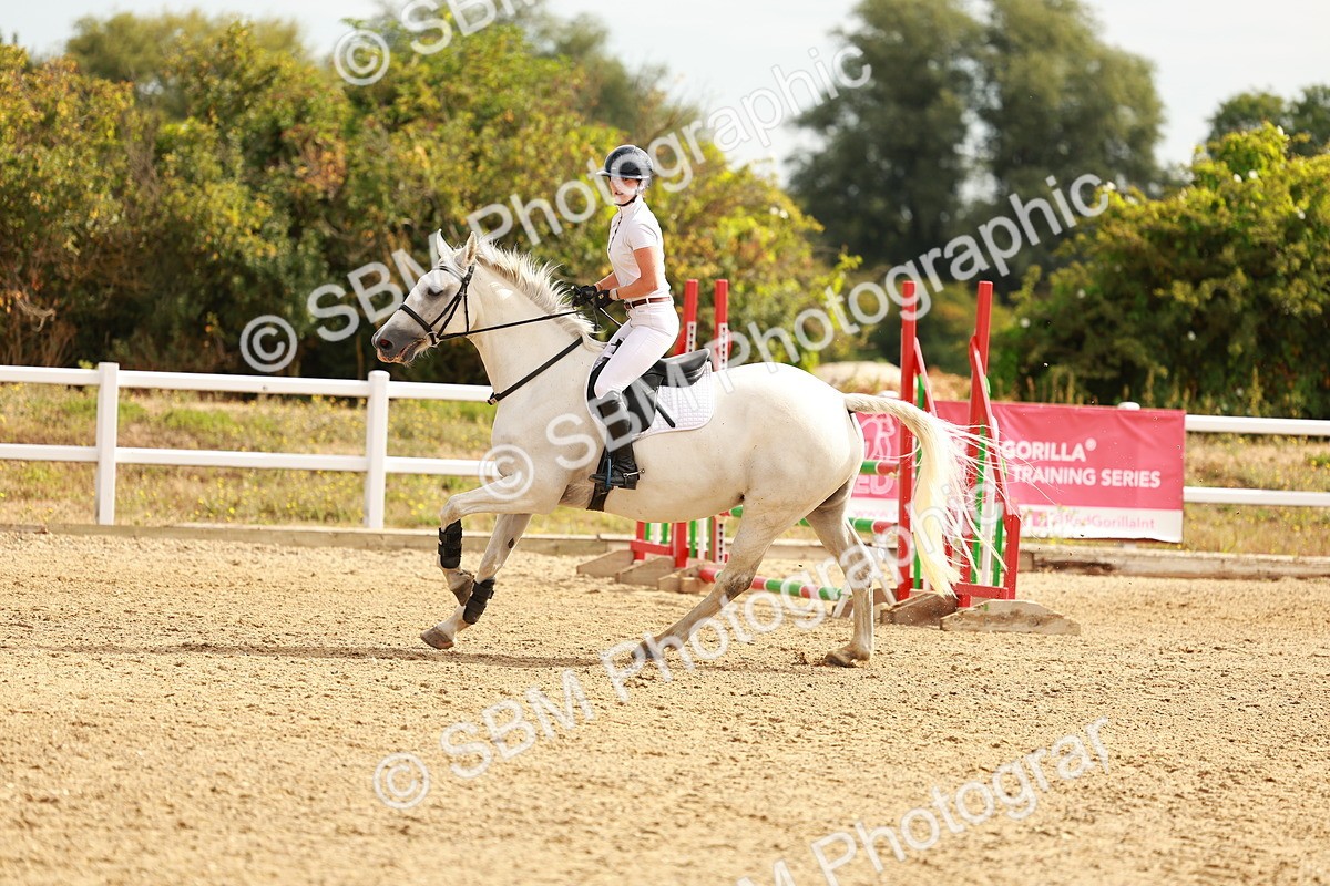SBM_002135 - Class 9 - Senior British Novice - 90cm