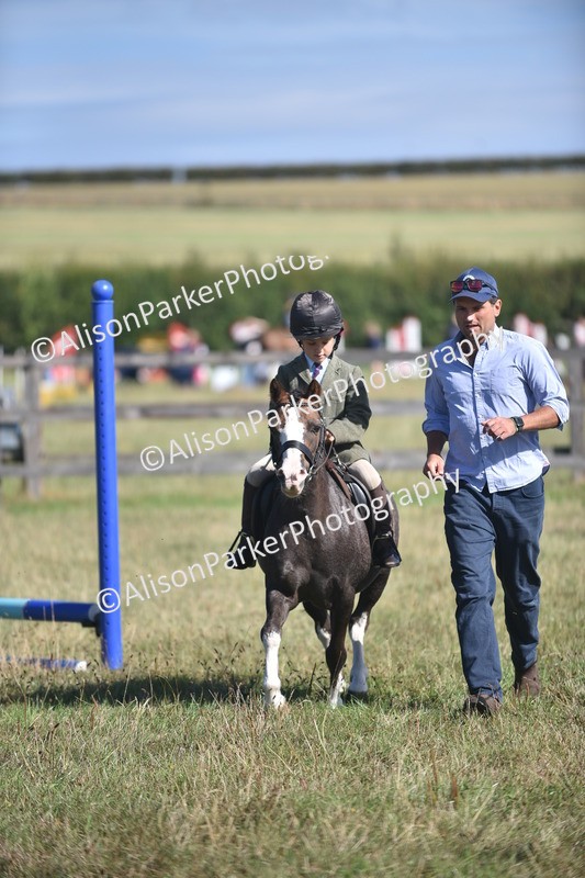 20260906-0995 - Class 7 - Absolute Novice Jumping 35cm