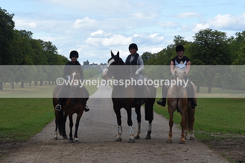 TT3_0540 - Time at Crossing 14:53 to 1526