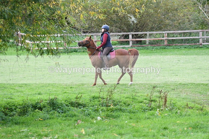 WJ5_9637 - Time 13:03 to 13:25