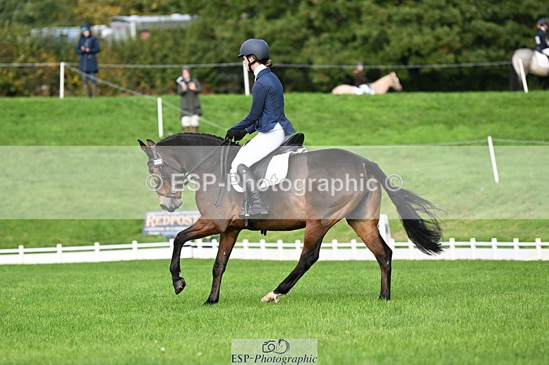 251023A-110016-02673 - G-511-Clara.Tuke