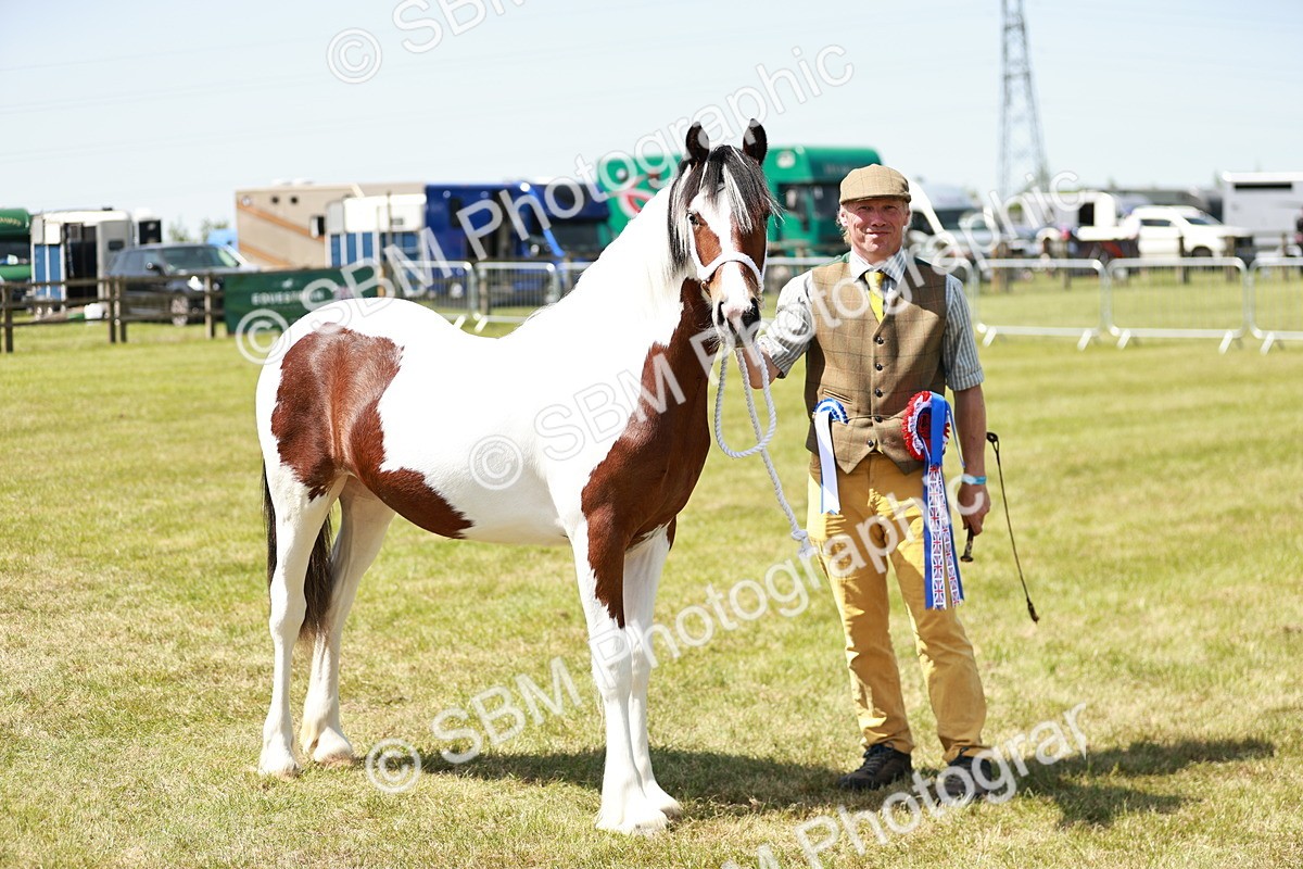 SBM_05537 - Class 41-45 - Riding Pony-Hunter Pony Breeding
