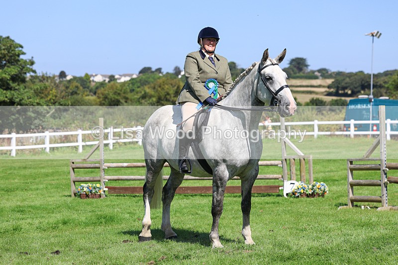 3E7A8531 - Class 4: Novice working Hunter