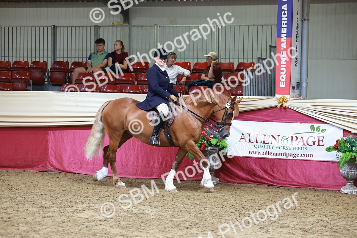 SBM_18525 - Class 952 - M&M Ridden Supreme Final