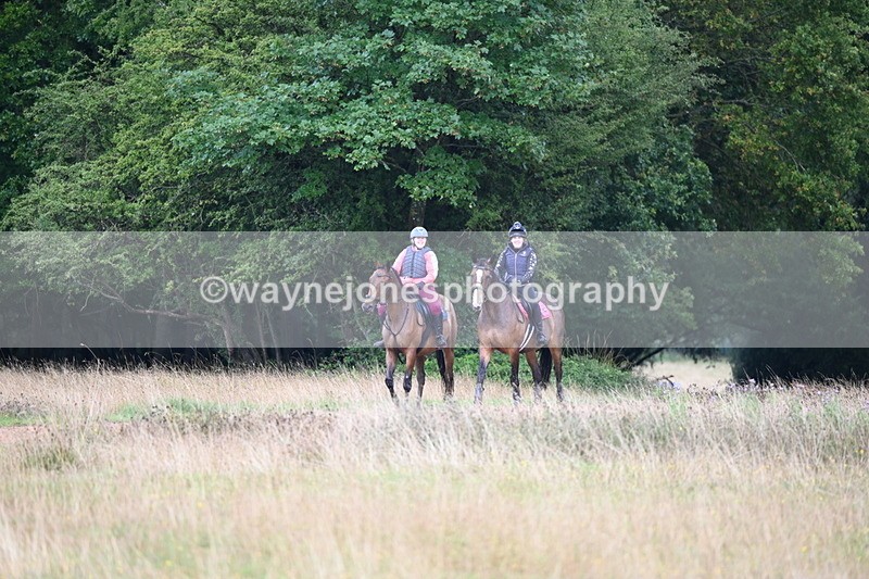 DSC_3871 - Time at Statue 13:51 to 14:55