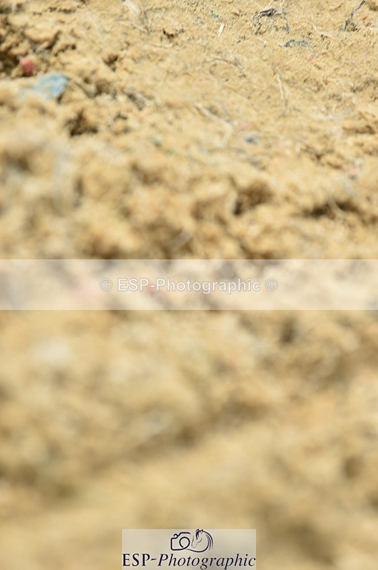 230617-121818-02570 - Cls 09 Blue Chip Pony Newc 1st Rnd