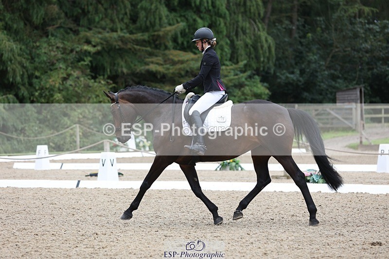 230812-094443-03011 - Cls 5 Novice Bronze Start to 10.55 break