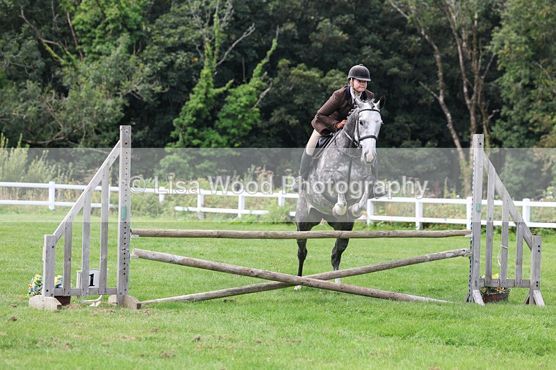 3E7A8849 - Class 6: Open Working Horse