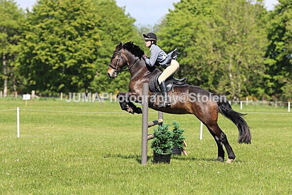 IMG_4532 - Working Hunter