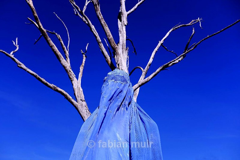Fabian Muir Blue Burqa