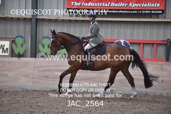 JAC_2564 - CLASS 3 Intermediate Working Hunter