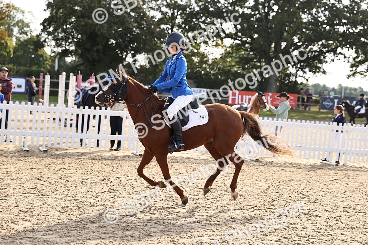 SBM_59801 - J11 - Junior Pony 50cm Championship