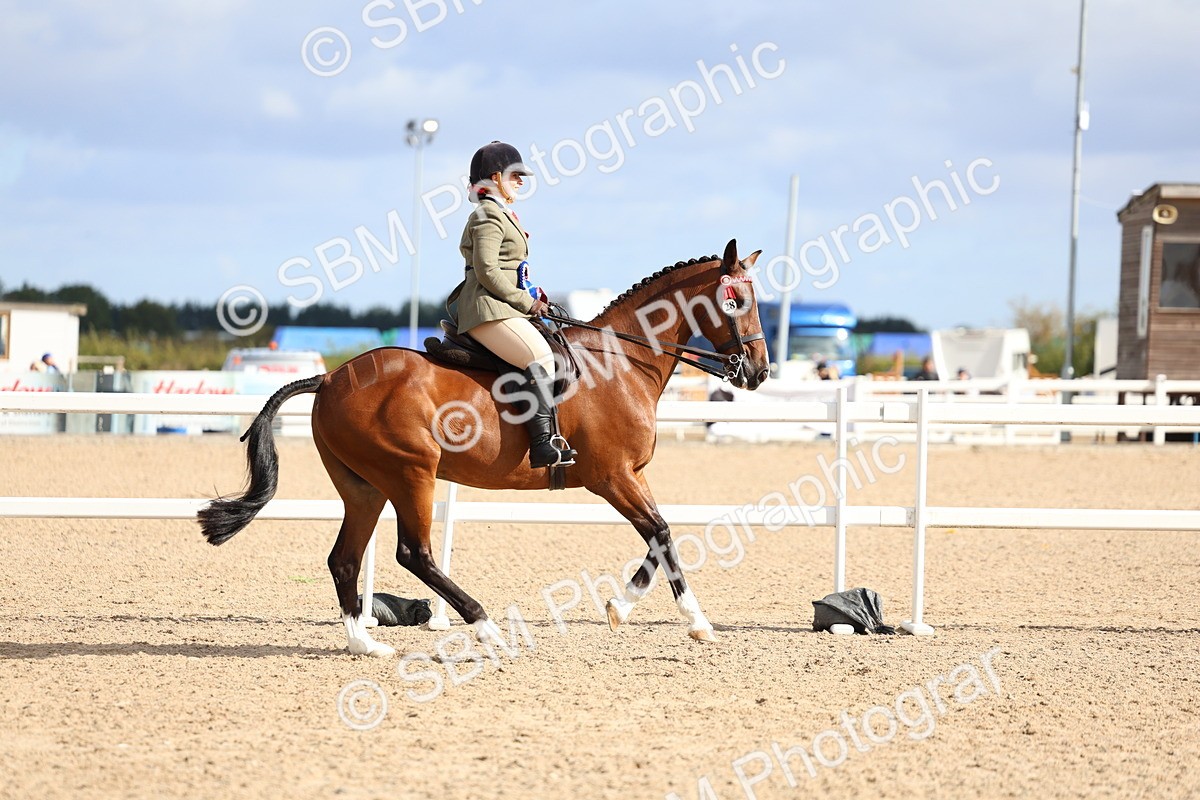 SBM_10160 - Class 304 - Ridden Part Bred Horse Pony