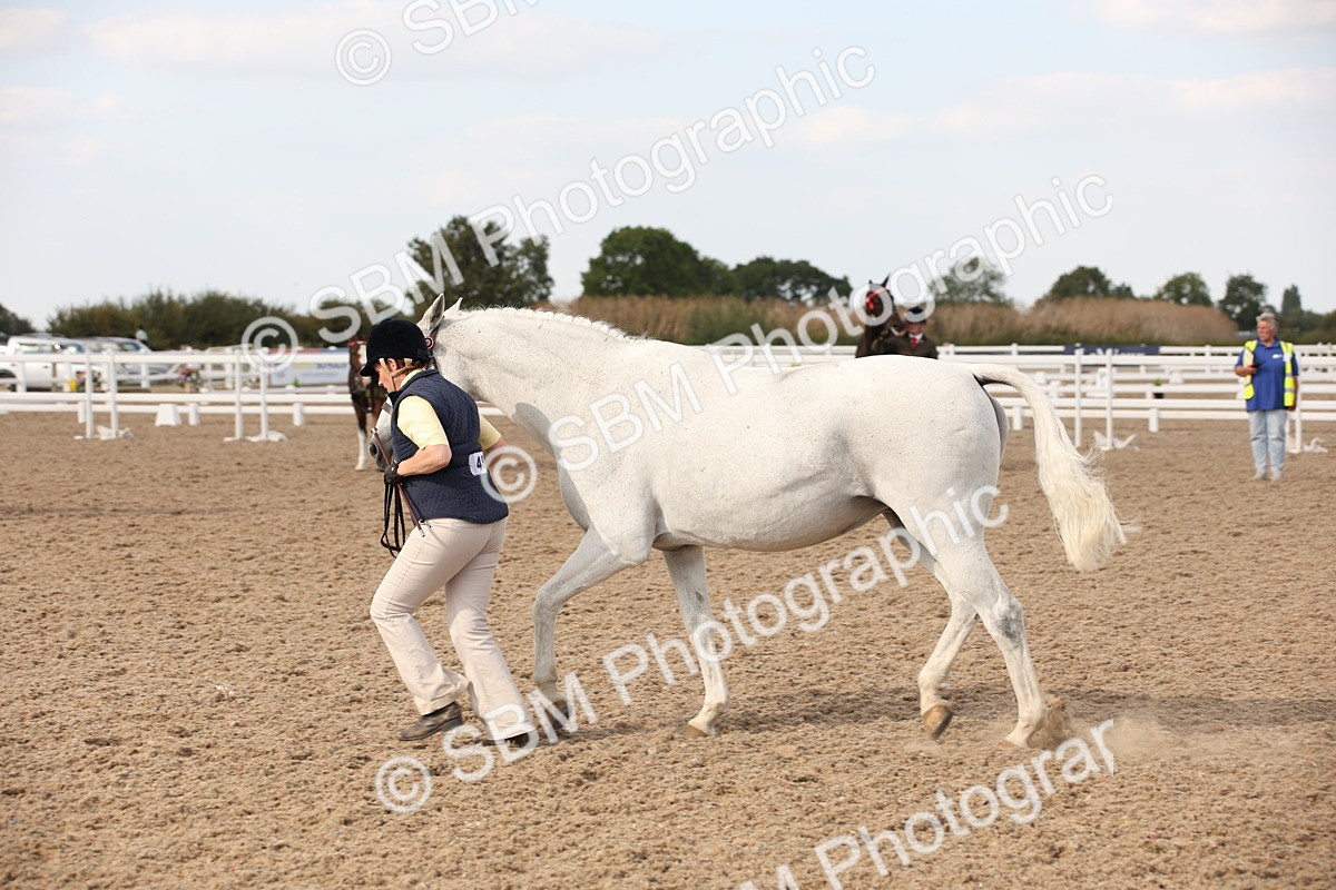 SBM_08210 - Class 27 - IH Competition Horse-Pony
