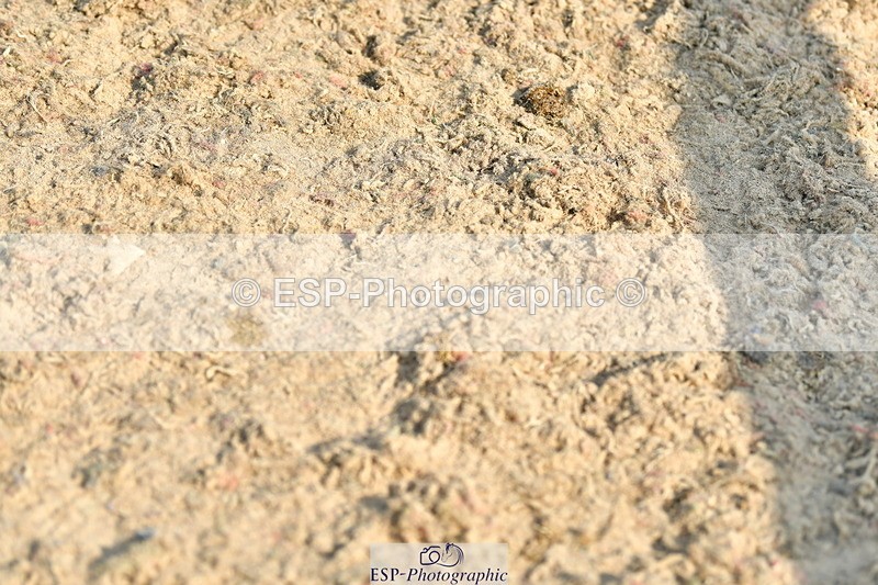 230721A-091015-04627 - Cls 26, 5 Yr Olds 1.10m