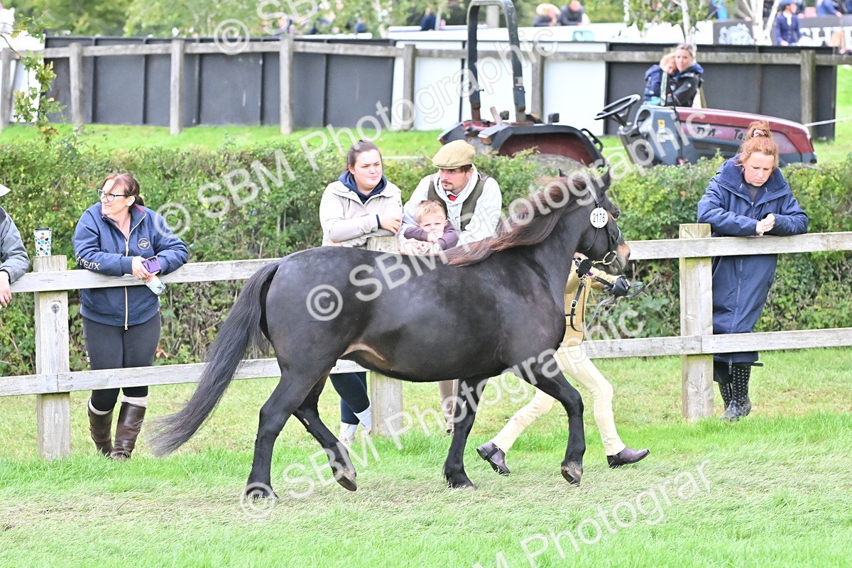 SBM_66794 - S41 - Junior Handler 8 Years & Under